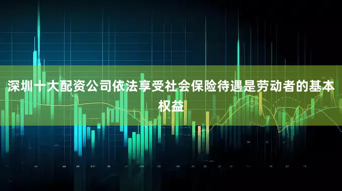 深圳十大配资公司依法享受社会保险待遇是劳动者的基本权益