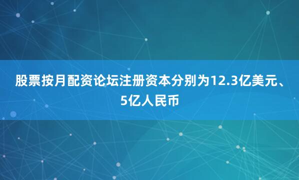 股票按月配资论坛注册资本分别为12.3亿美元、5亿人民币