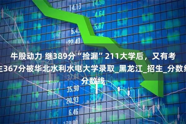 牛股动力 继389分“捡漏”211大学后，又有考生367分被华北水利水电大学录取_黑龙江_招生_分数线
