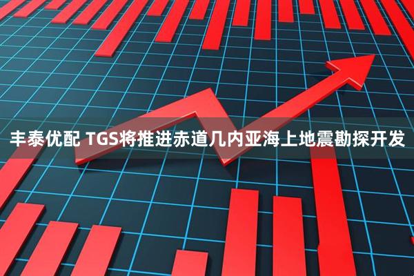 丰泰优配 TGS将推进赤道几内亚海上地震勘探开发