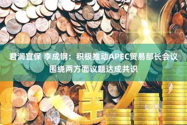 君润宜保 李成钢：积极推动APEC贸易部长会议围绕两方面议题达成共识